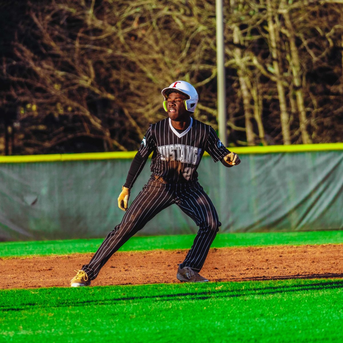 Willie_Prince_Kennesaw_Mountain_baseball.51